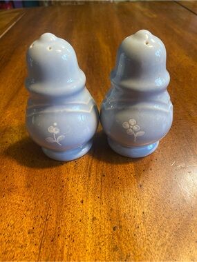 Pfaltzgraff Essense Light Blue Floral Ceramic Salt & Pepper Shakers